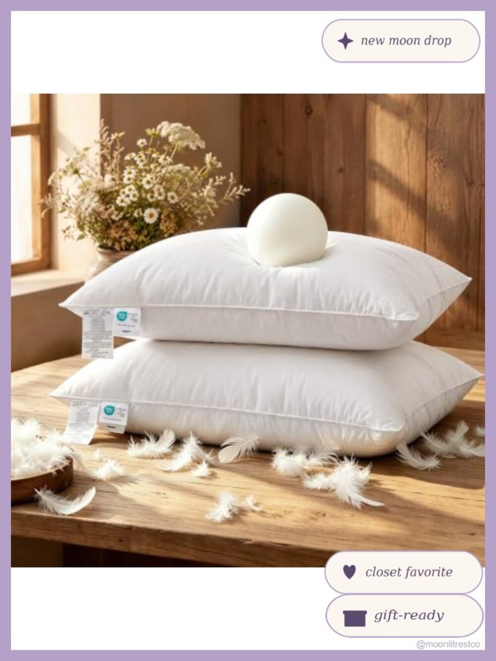 Goose Down Feather Pillows Queen Set of 2 600 TC Cotton Shell